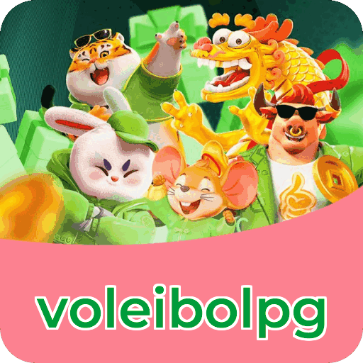 Interface voleibolpg